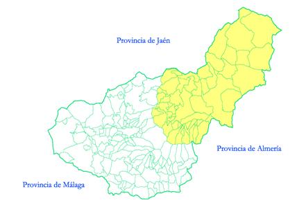 G25_50-imagen-01