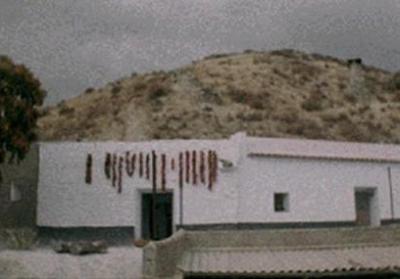 G25_50-imagen-04