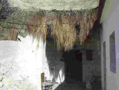 G25_50-imagen-08