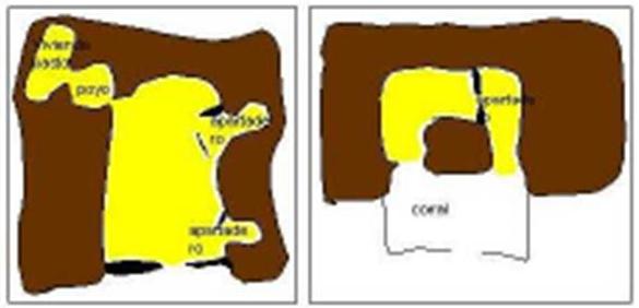 G25_50-imagen-09
