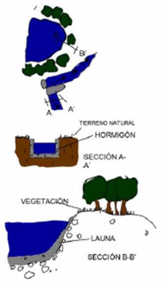 G25_50-imagen-14