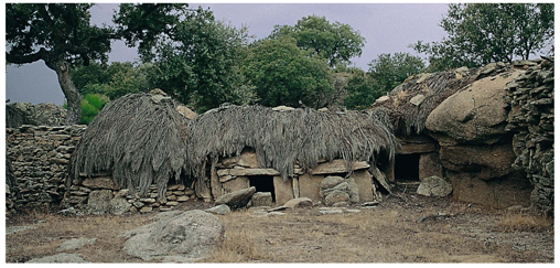 Montaje 009